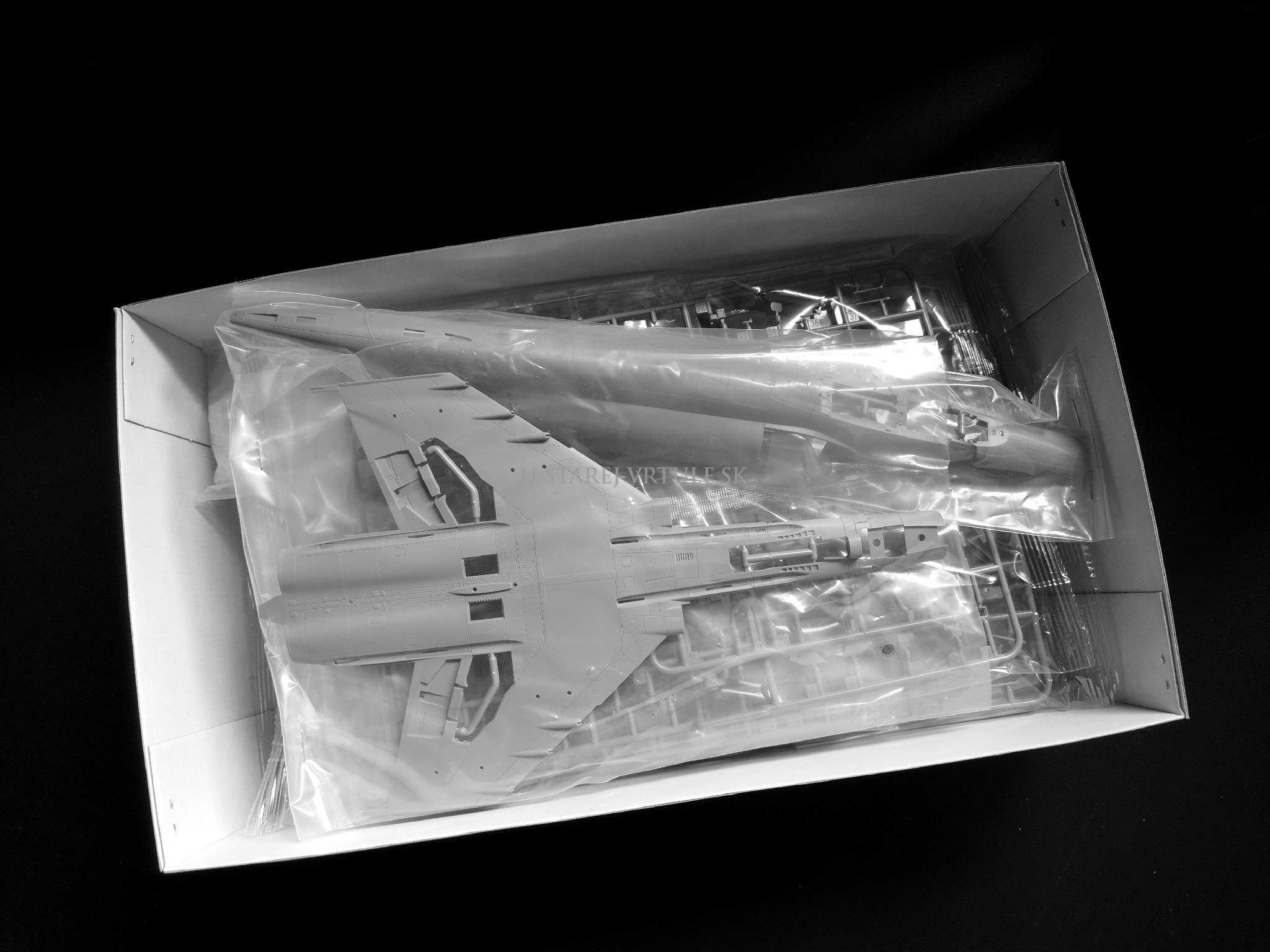 F-4E/2020 TERMINATOR (Turkish Air Force) 1/48