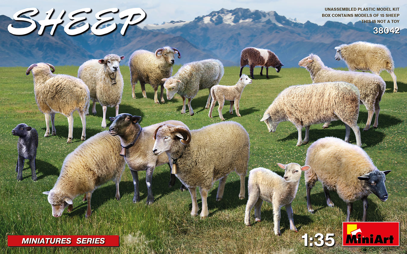 Sheep 1/35