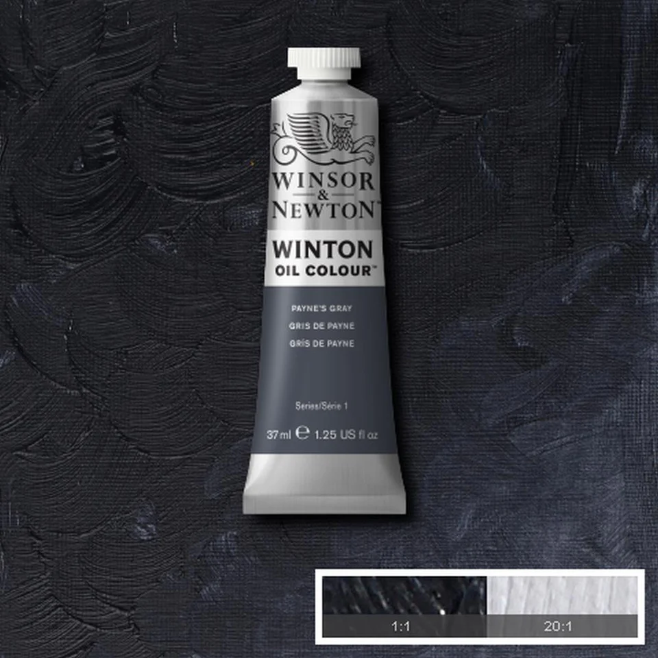 Winsor & Newton Winton Oil Colour 37ml - PAYNE'S GRAY