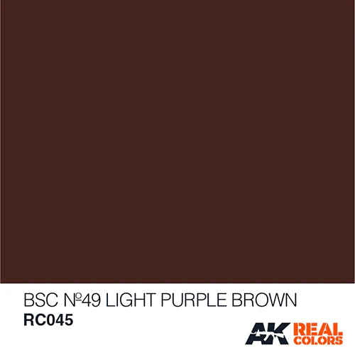 AK Real Colors RC045 BSC Nº49 Light Purple Brown
