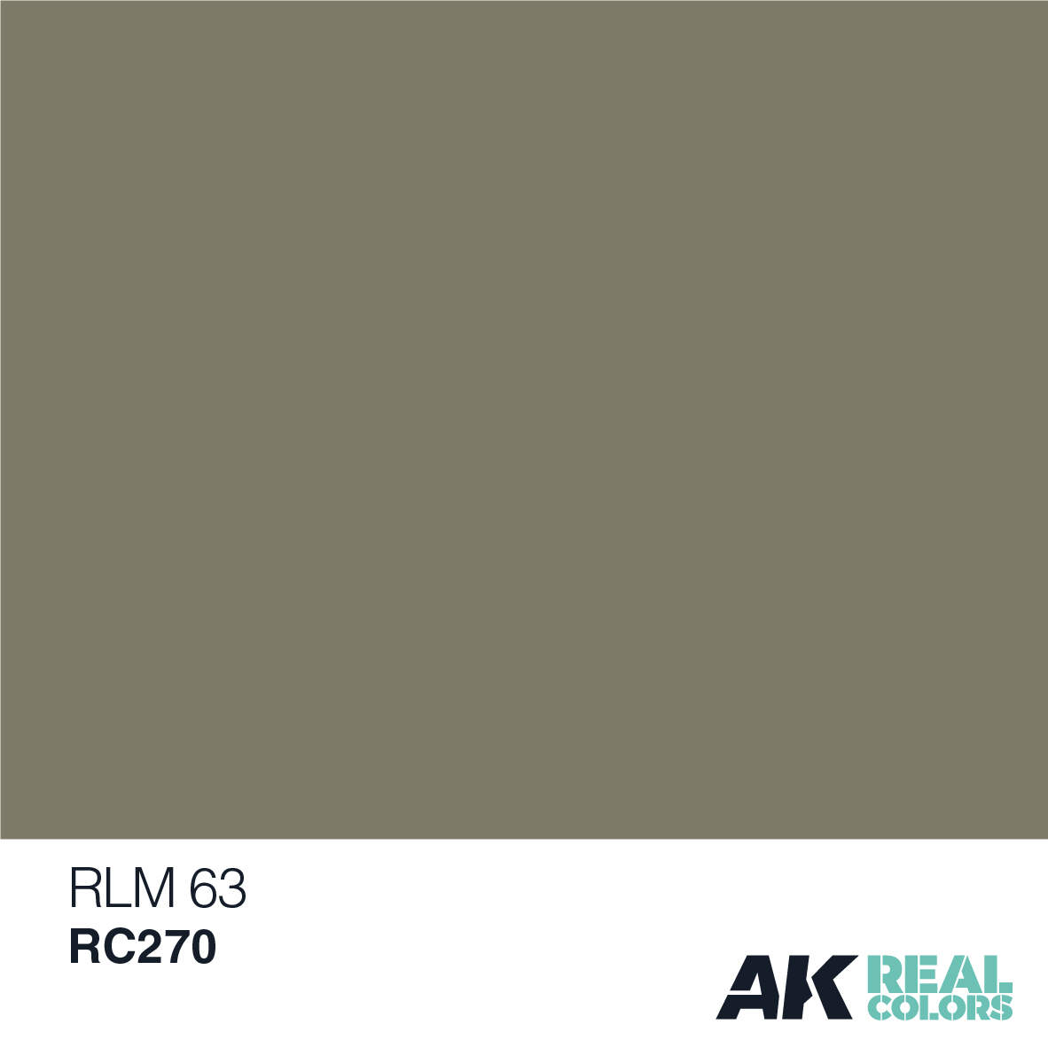 AK Real Colors RC270 RLM 63