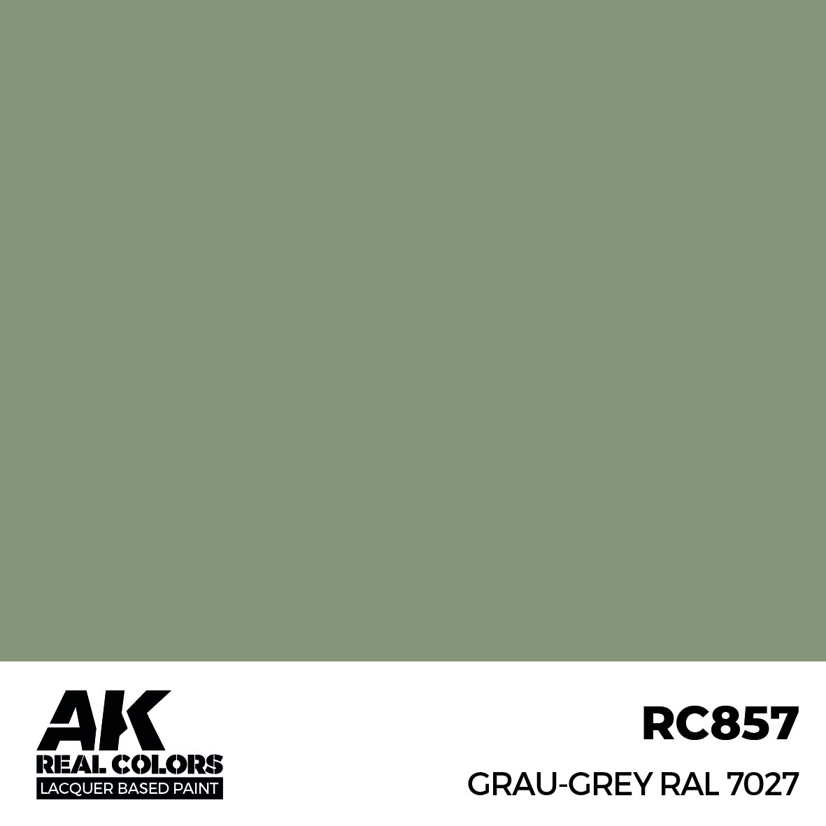 AK Real Colors RC857 Grau-Grey