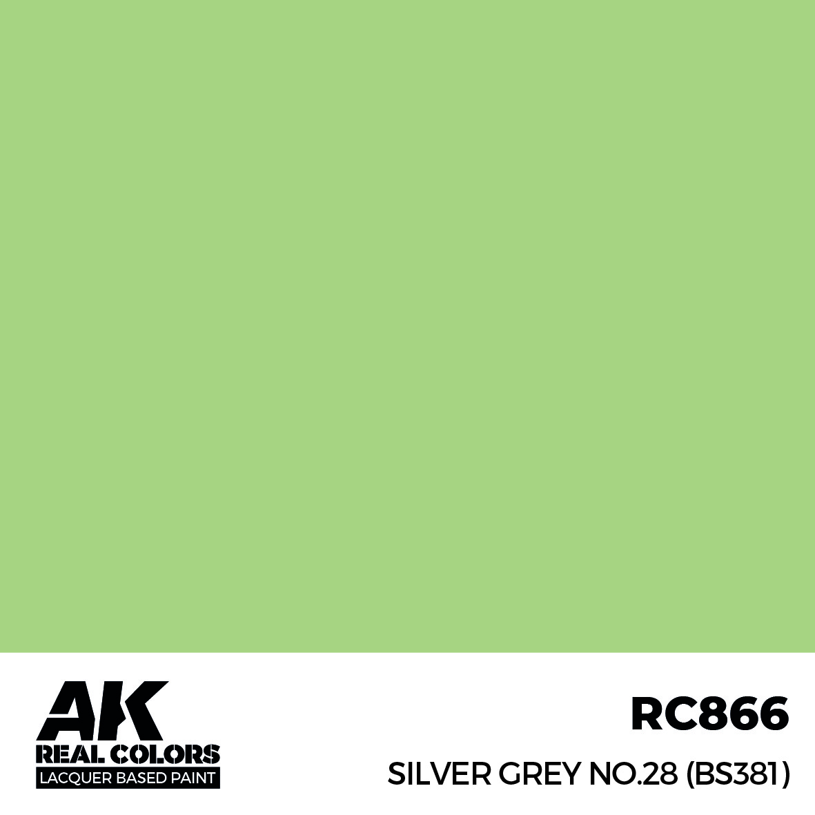 AK Real Colors RC866 Silver Grey No.28 (BS381)
