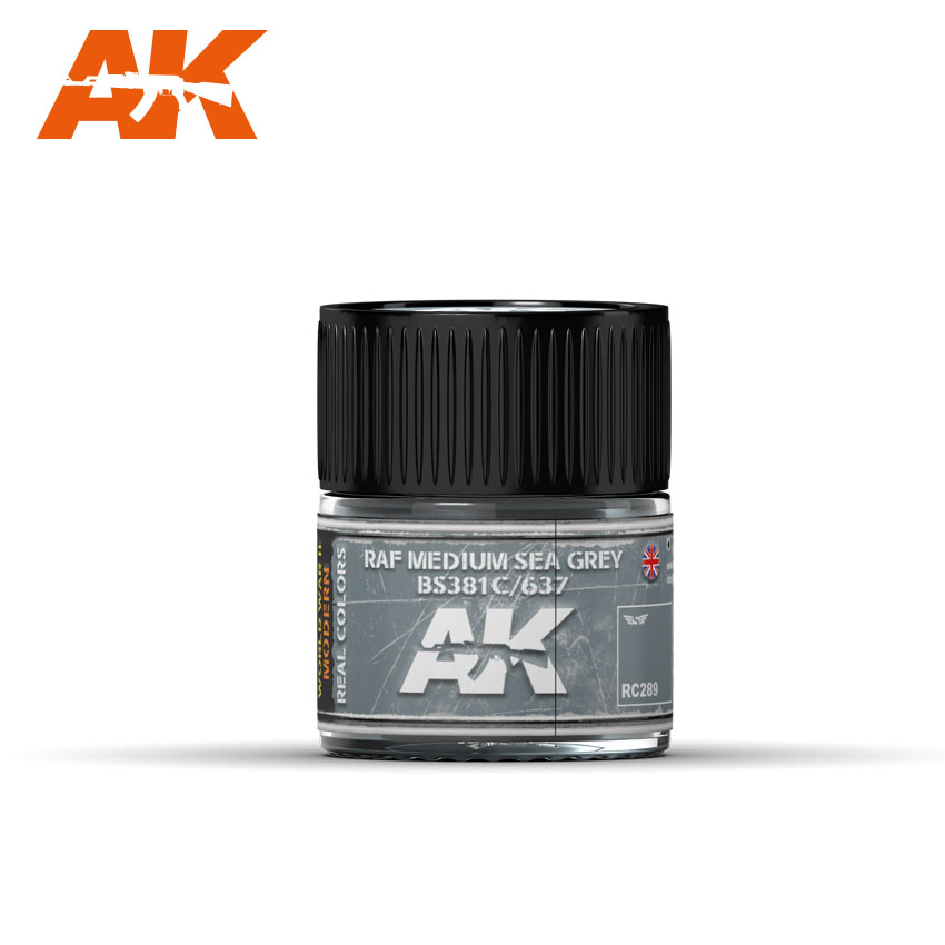 AK Real Colors RC289 RAF Medium Sea Grey