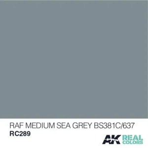 AK Real Colors RC289 RAF Medium Sea Grey – Obrázok 2