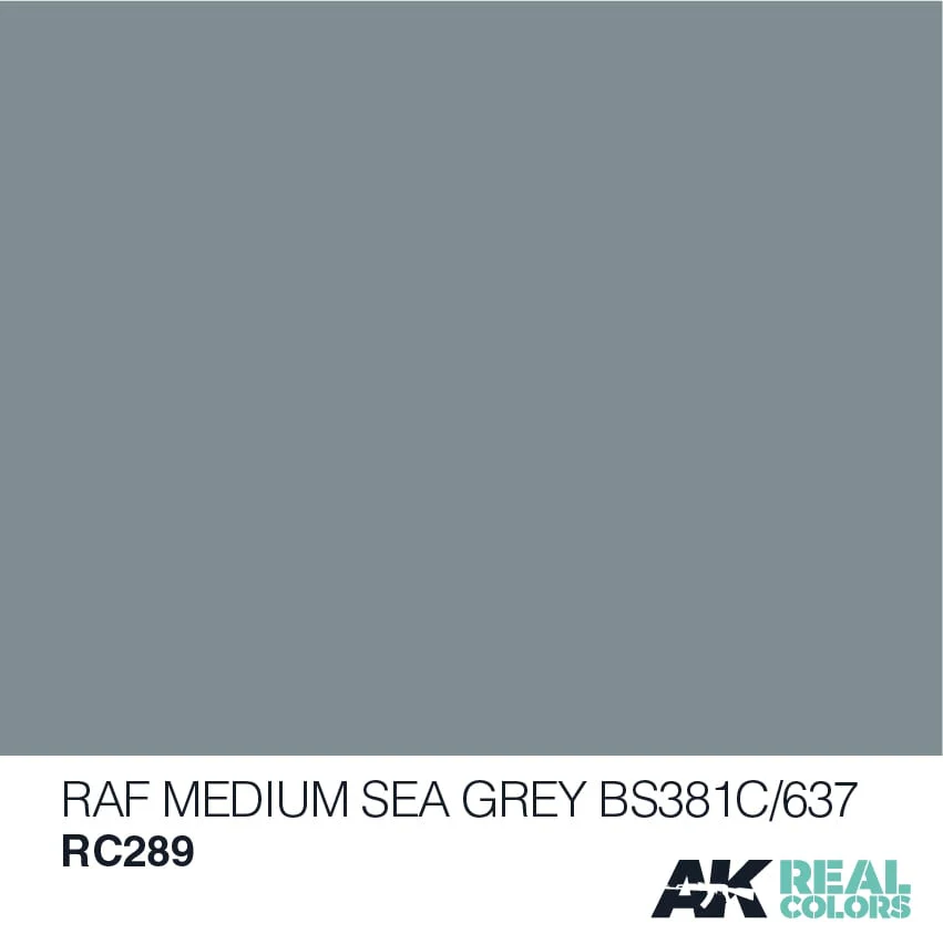 AK Real Colors RC289 RAF Medium Sea Grey